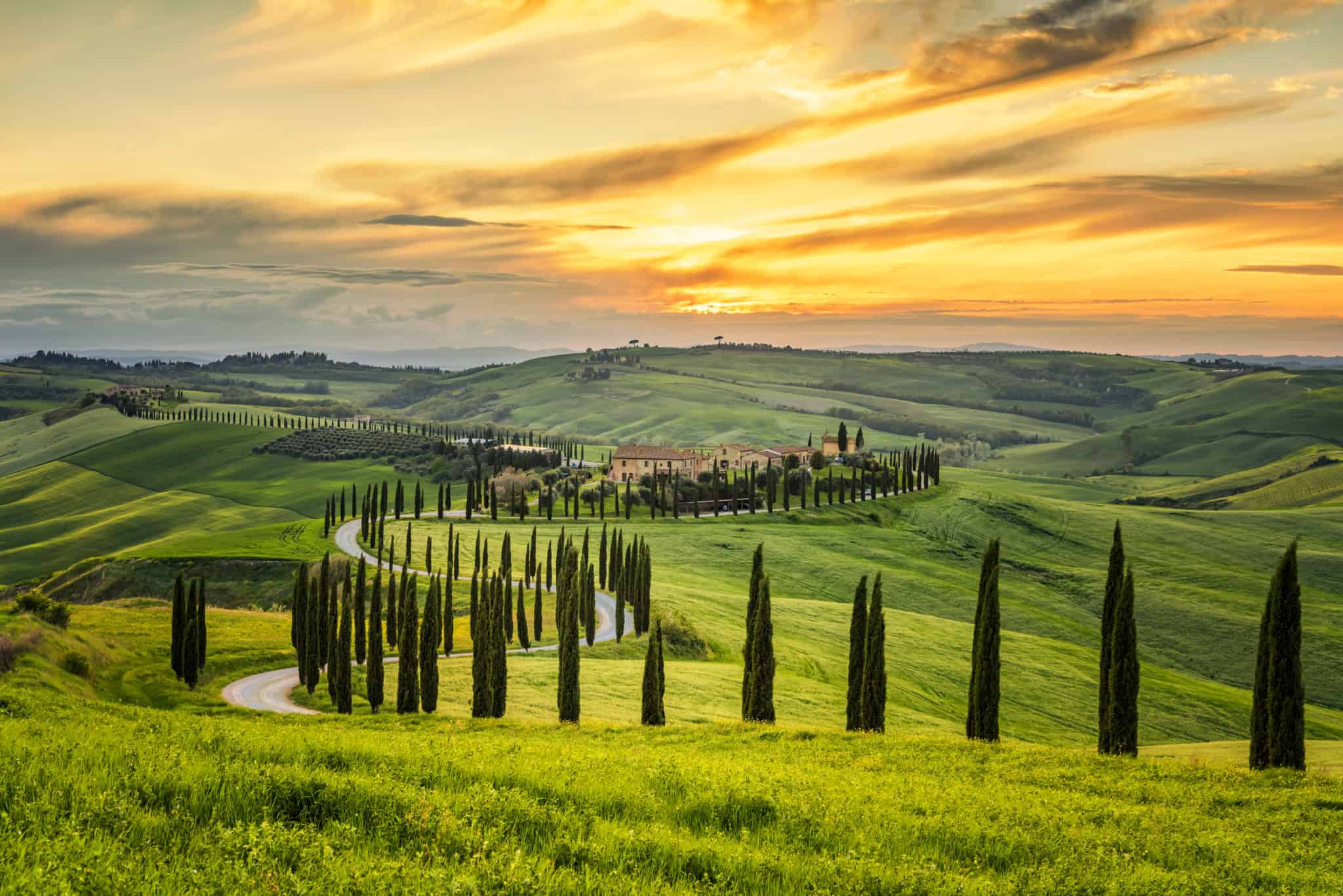 Colline toscane con cipressi al tramonto